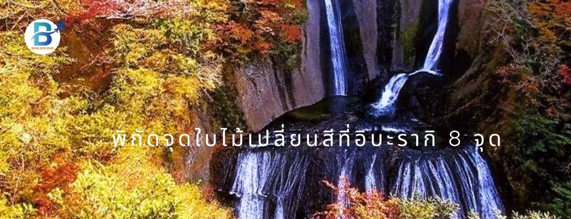 พิกัดจุดชมใบไม้เปลี่ยนสีที่อิบาระกิ 8จุด