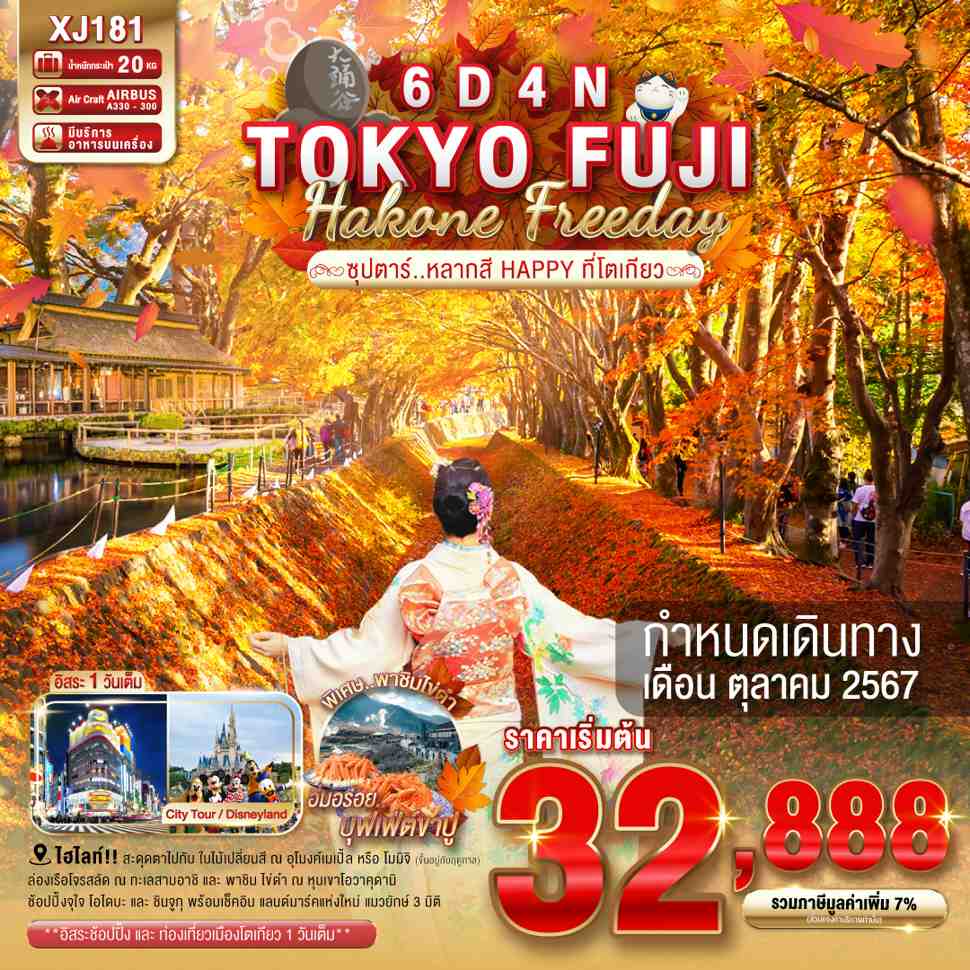 ทัวร์ญี่ปุ่น TOKYO FUJI HAKONE FREEDAY ซุปตาร์ หลากสี HAPPY ที่โตเกียว 6วัน 4คืน (XJ)